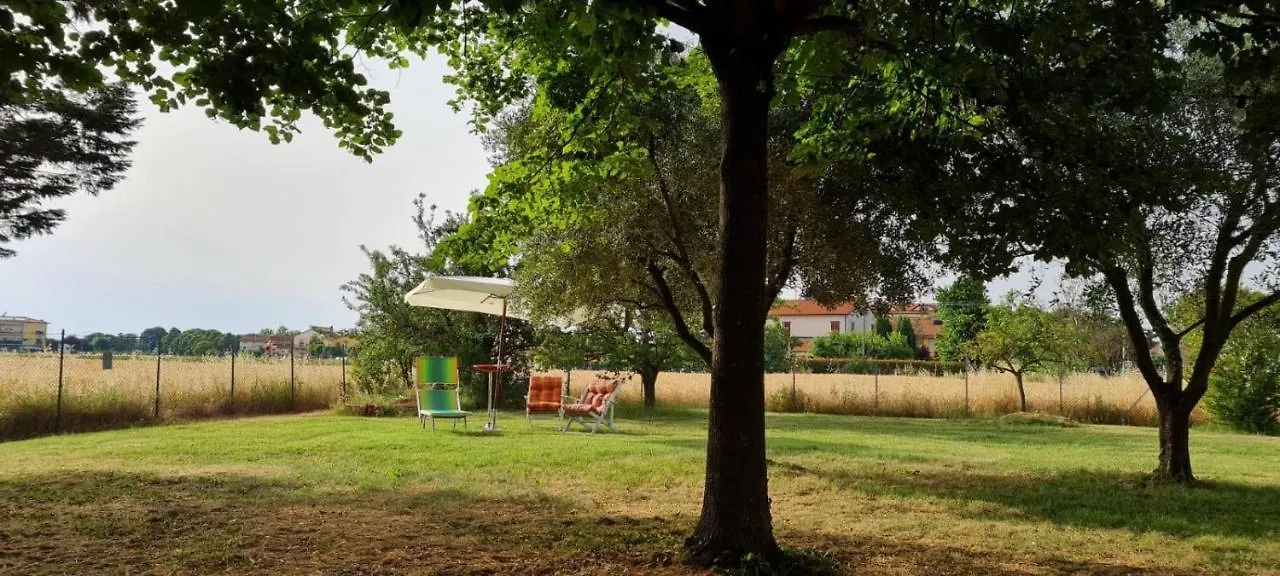 Chez Barnie Favoloso Appartamento Privato In Villa A 800Mt Ingresso Fiera Rimini 0*,