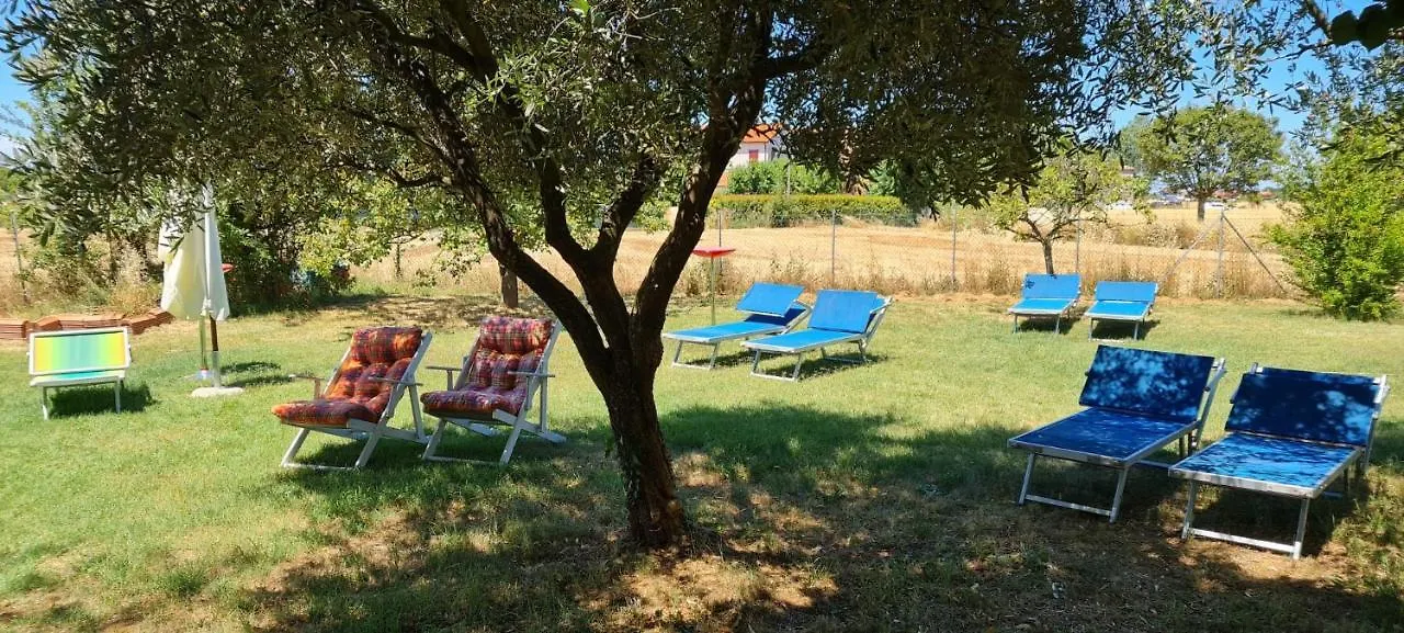Chez Barnie Favoloso Appartamento Privato In Villa A 800Mt Ingresso Fiera リミニ