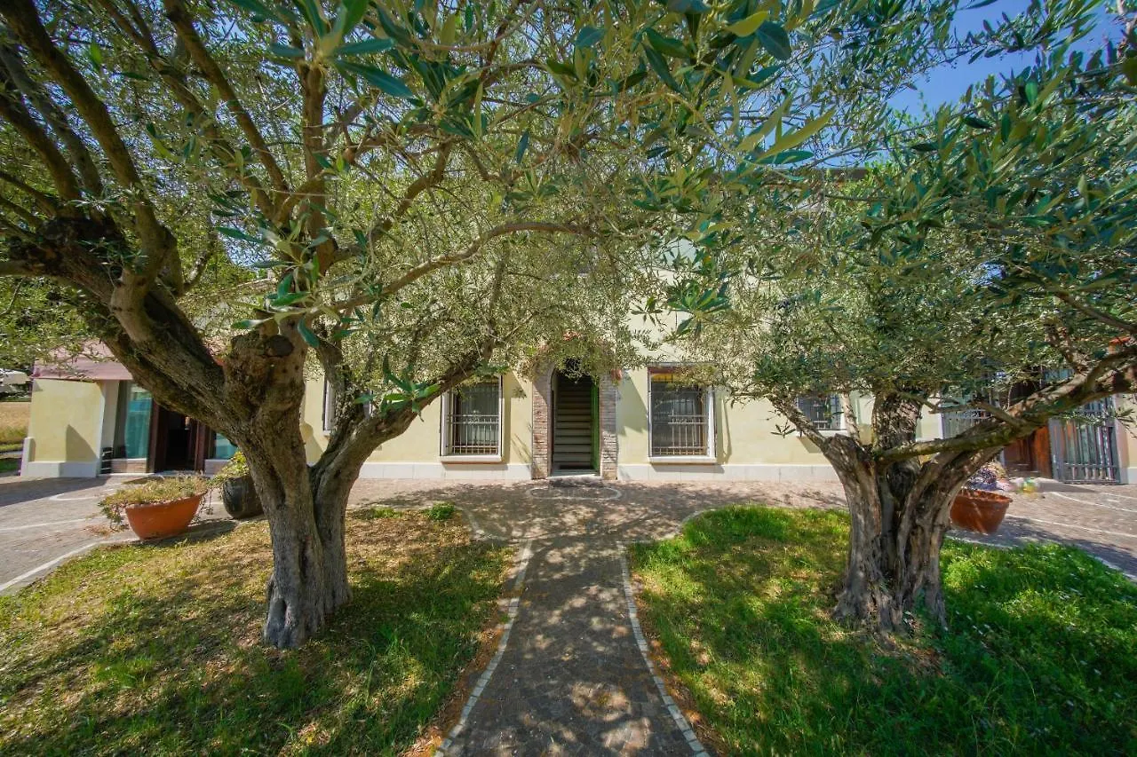 Apartment Chez Barnie Favoloso Appartamento Privato In Villa A 800Mt Ingresso Fiera Rimini